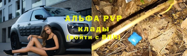 спиды Алзамай