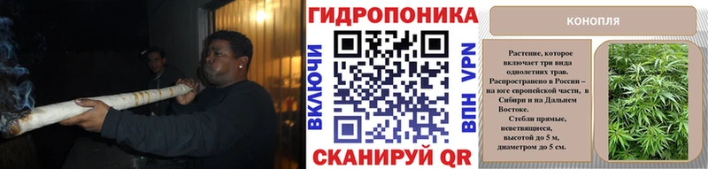 Конопля Bruce Banner  KRAKEN ССЫЛКА  Елец 